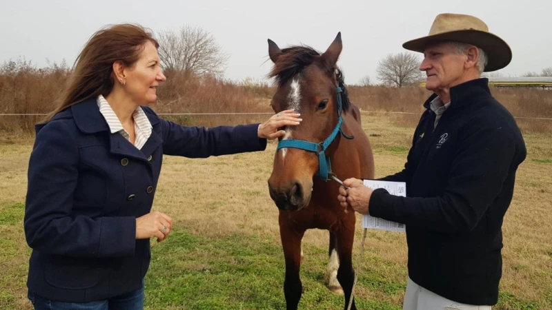 Agosto el Mes de las infancias: conocé la oferta turística en toda la provincia