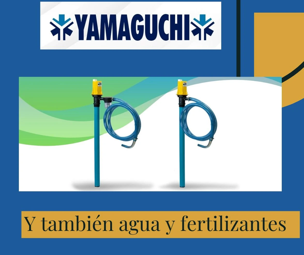 https://ss-cnt-001c.esmsv.com/r/content/host1/15972adc43b2cf703d066ec13cd07169/editor/4.webp