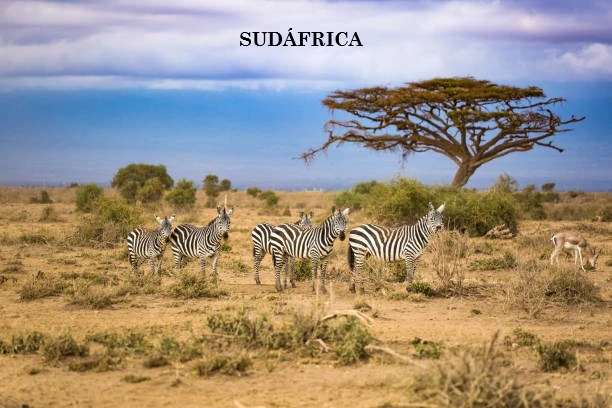SUDFRICA.webp