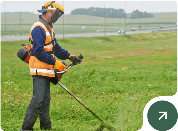 Servicios de mantenimiento de espacios verdes
