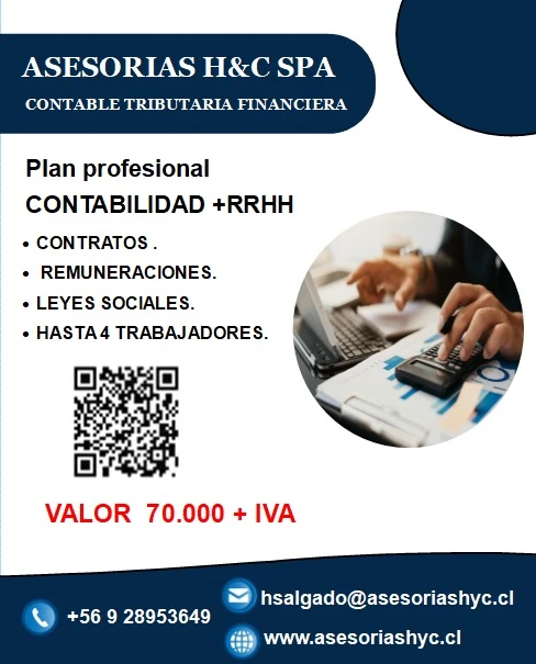 PLANPROFESIONAL.webp