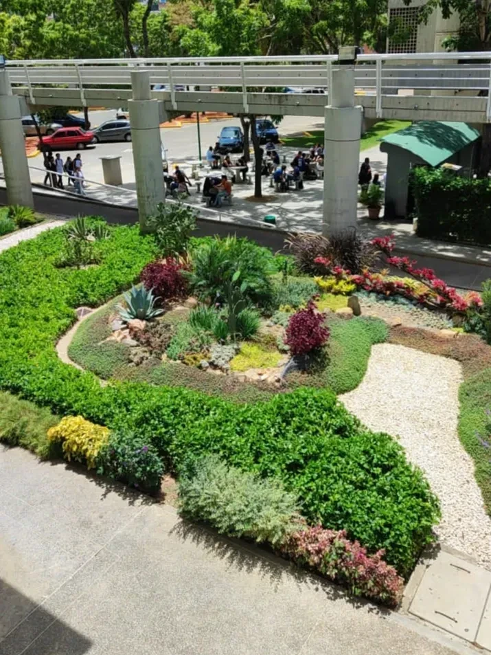 La Importancia del Paisajismo en Espacios Urbanos