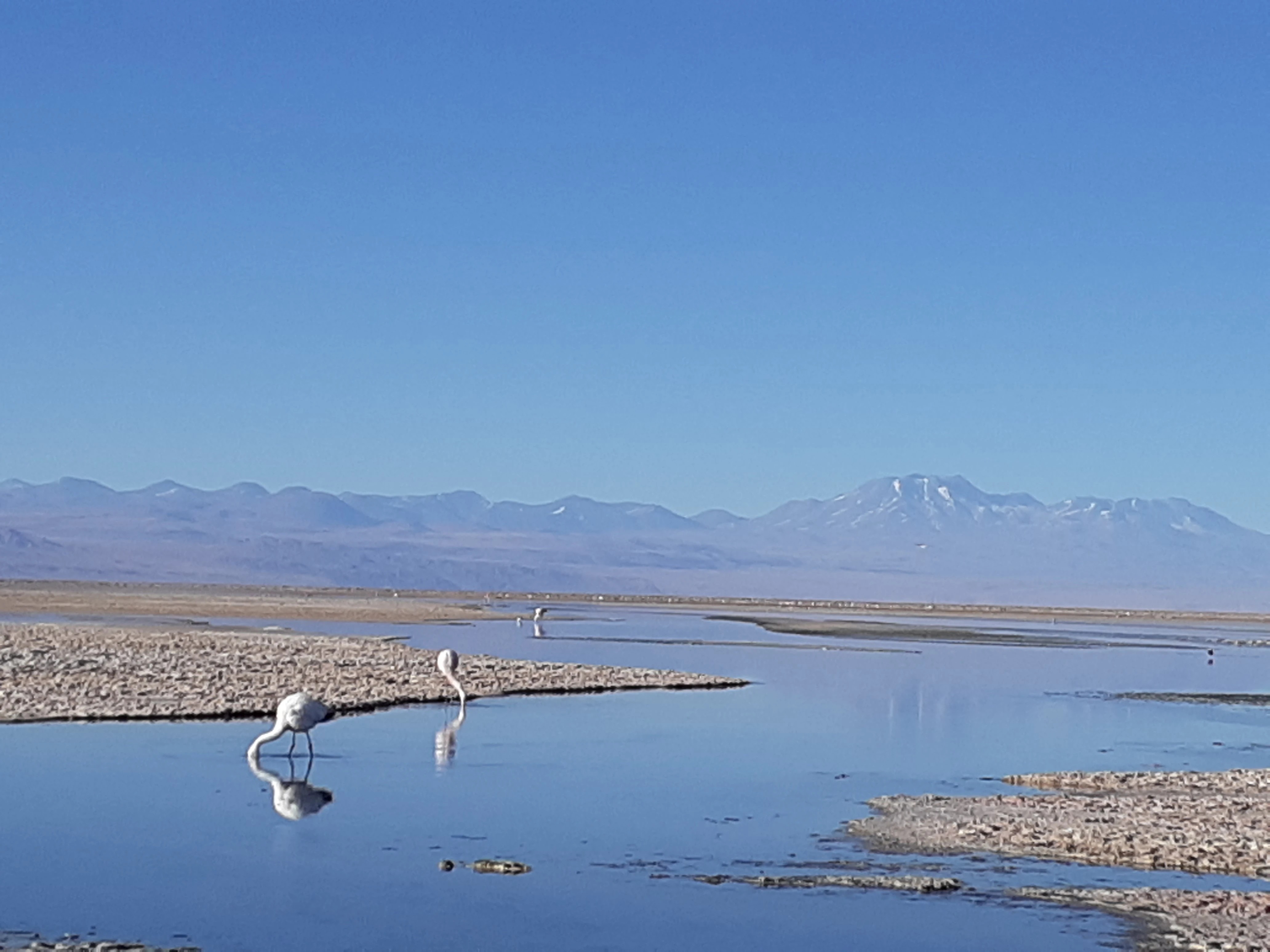 San Pedro de Atacama Chile