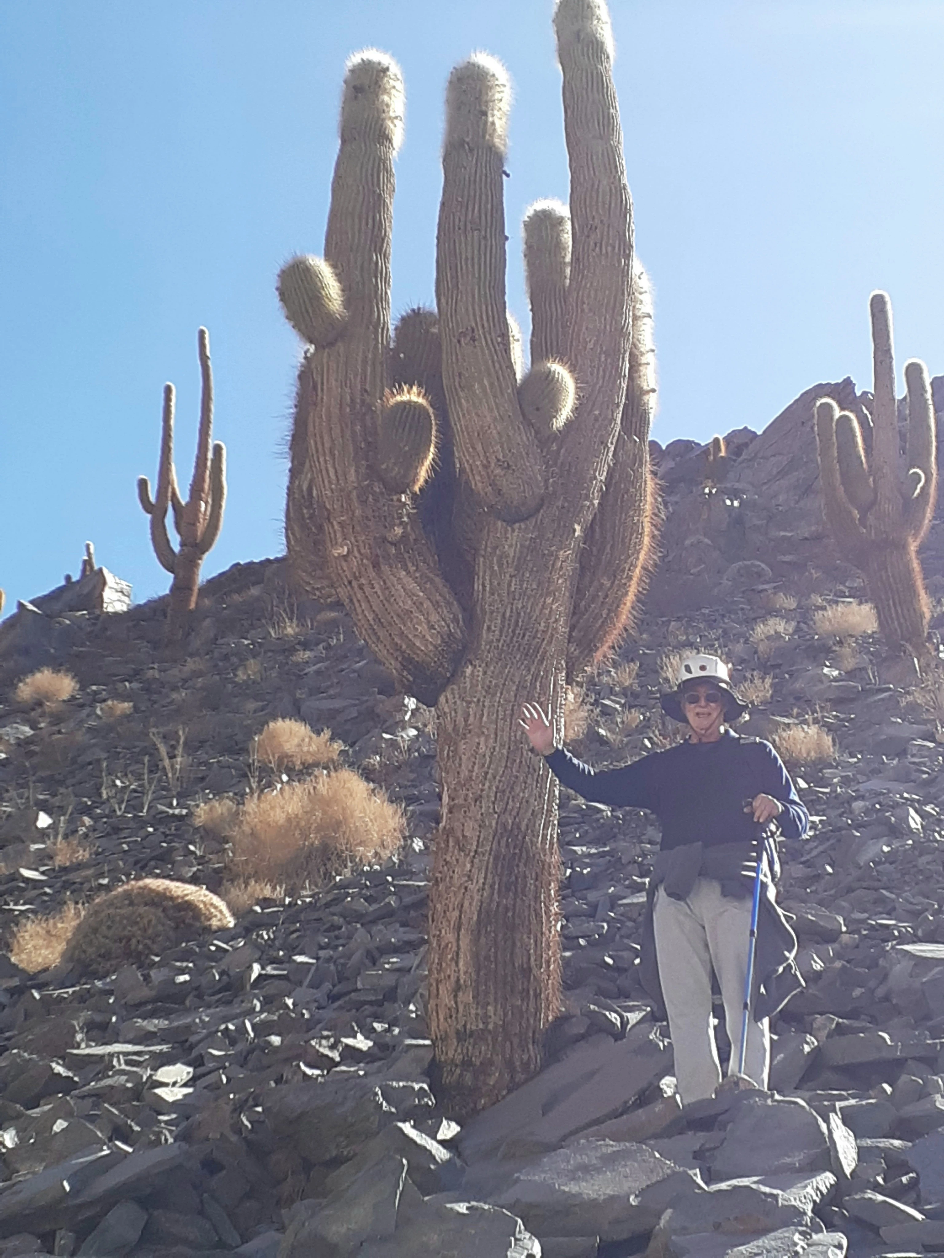 Para verificar alturas. 2 cm por año-