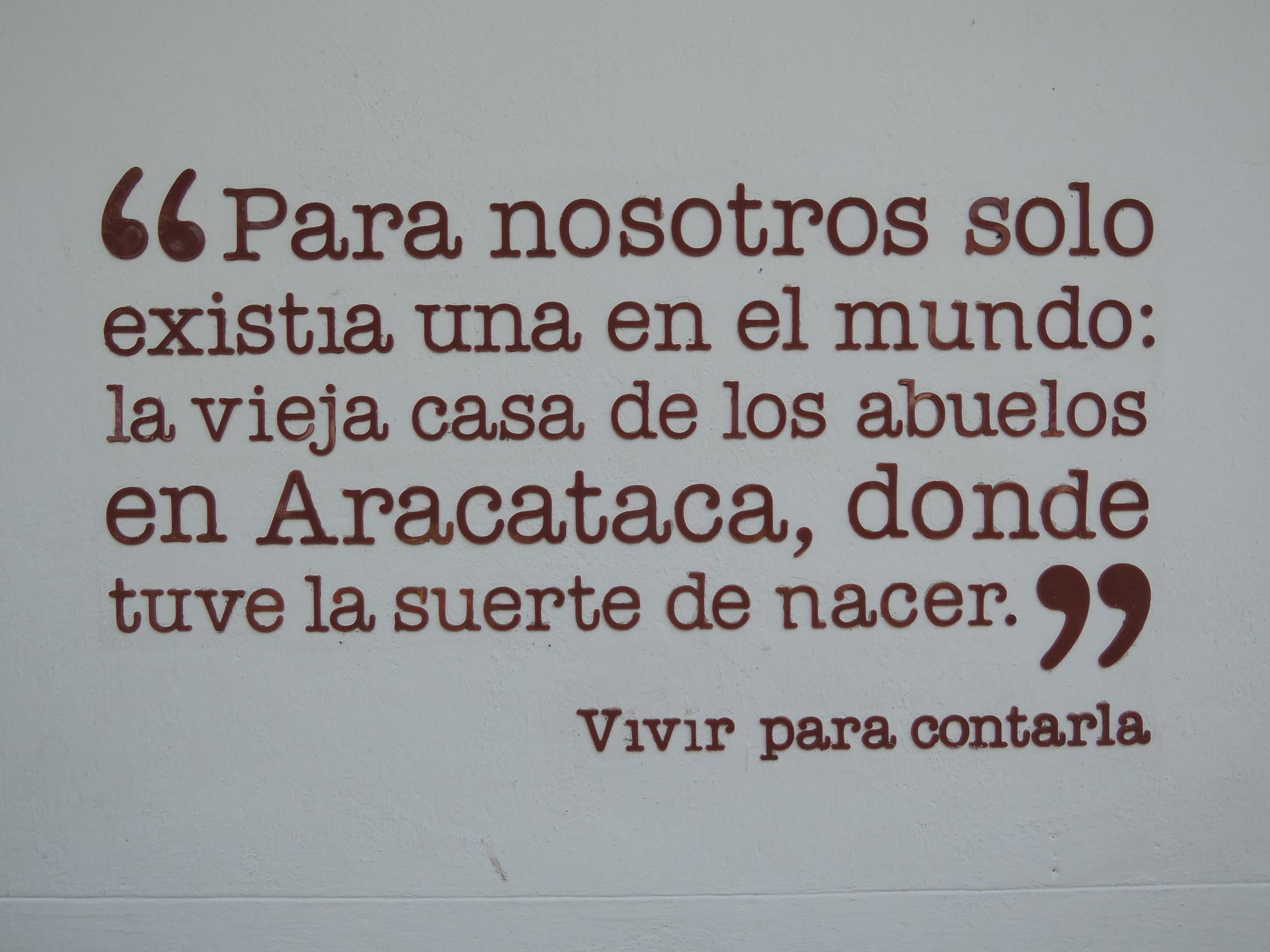 Vivir para contarla