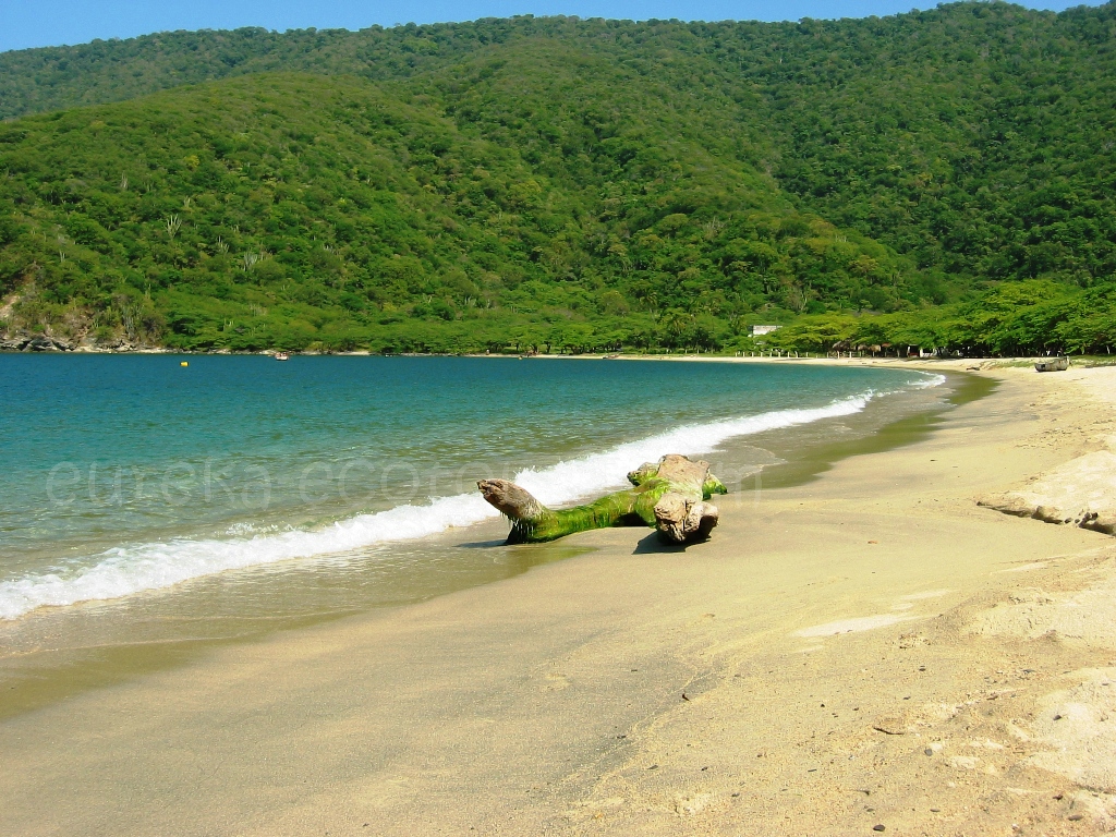Bahia Concha