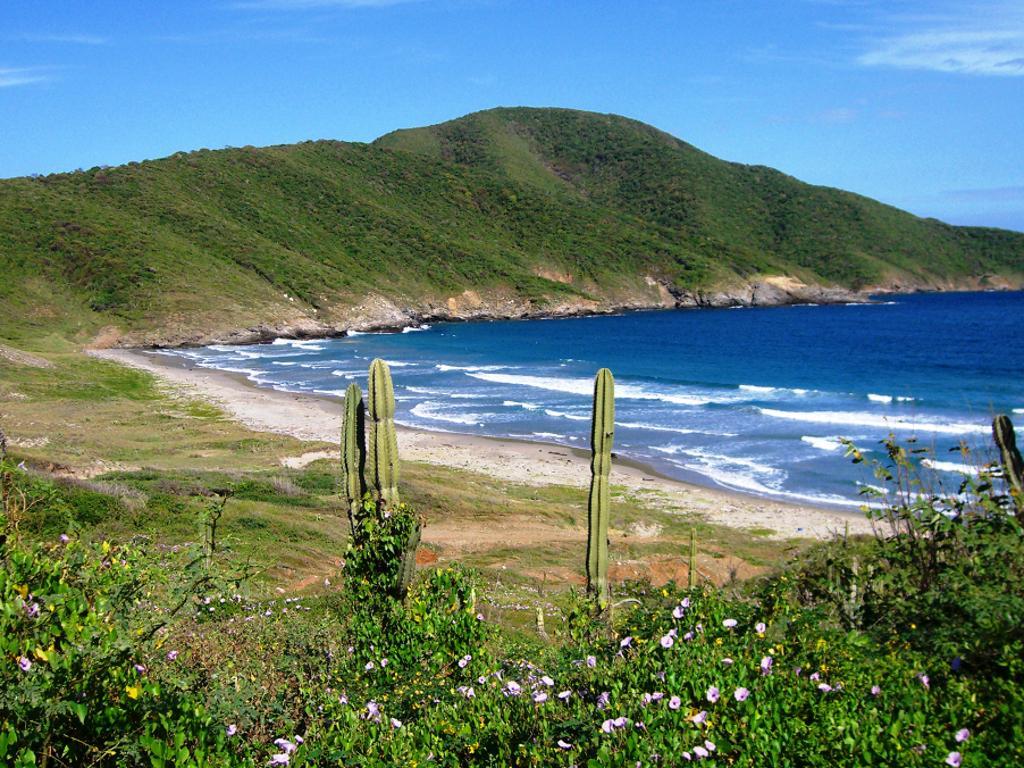 Neguanje-Mirador 7 Olas