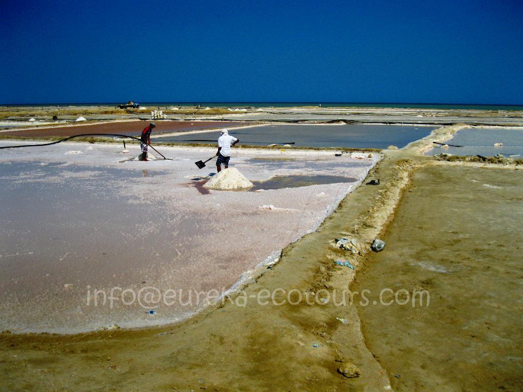 Salinas de Manaure