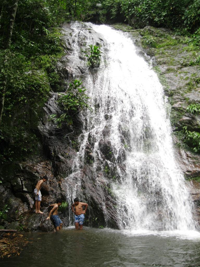 Cascada
