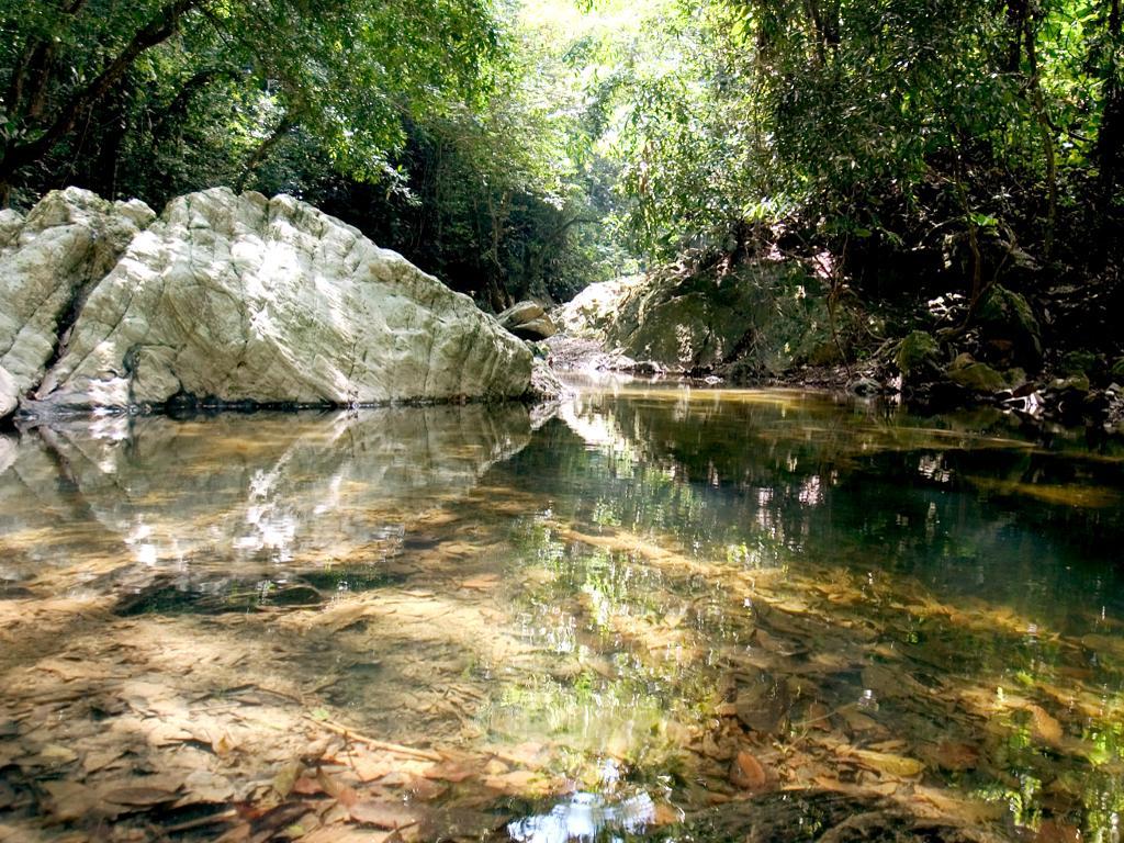 Cascada Valencia - Espejo en el Agua