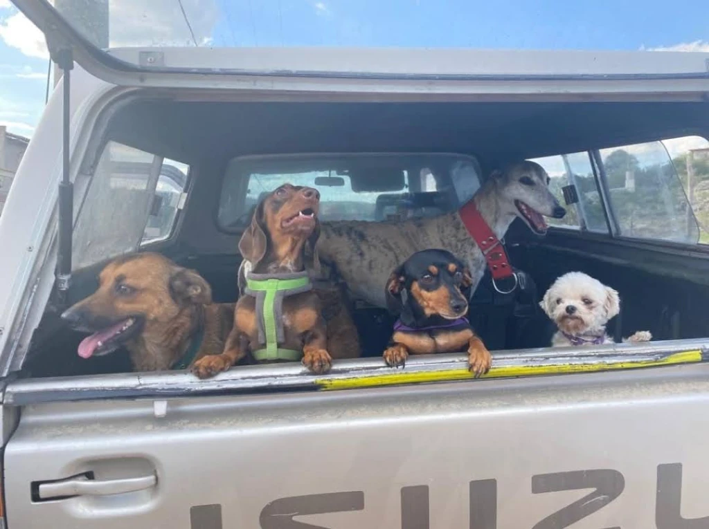 Amigos listos para pasear