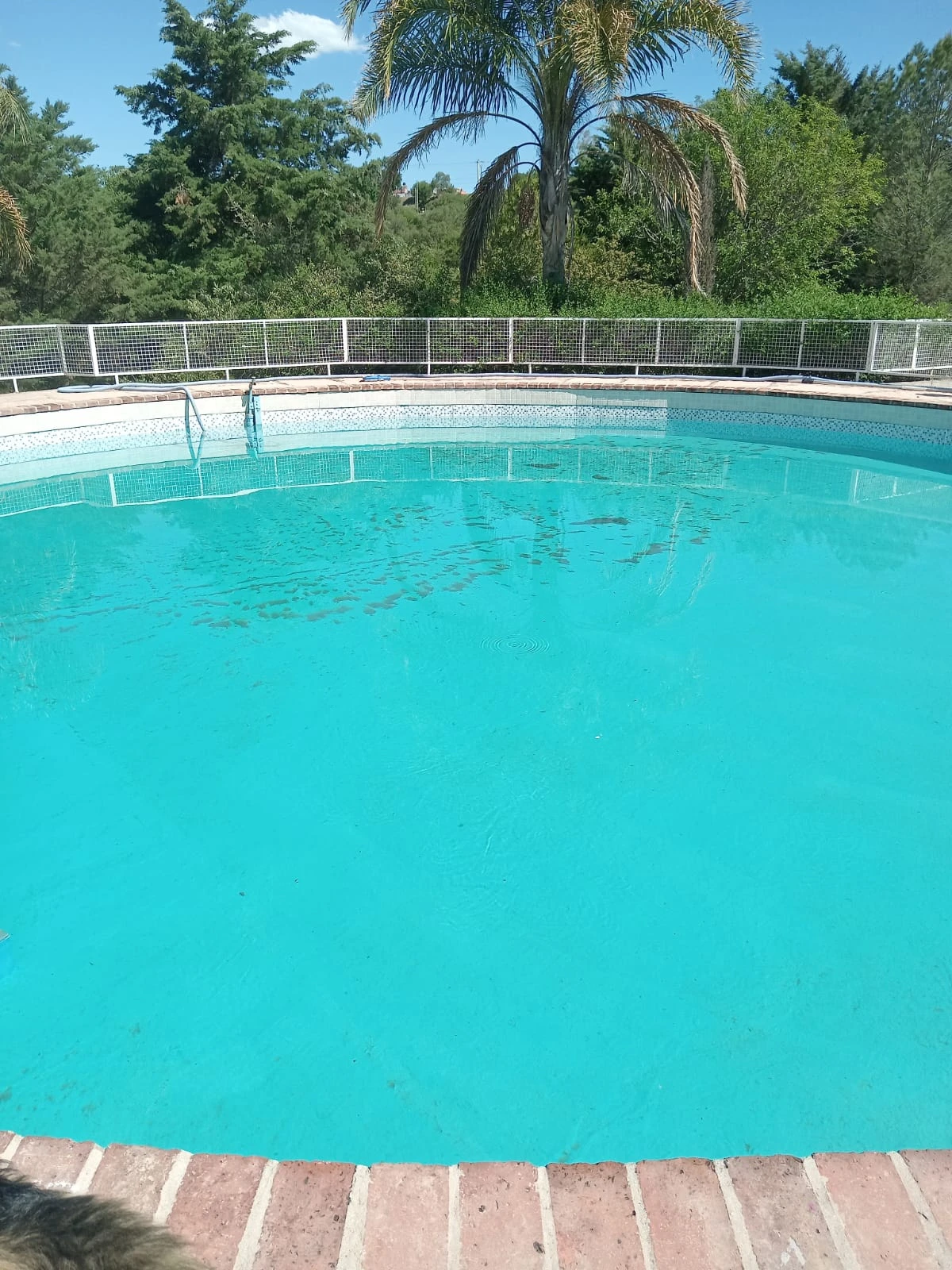 Pileta Grande 3/12/2025