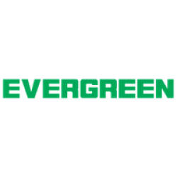 Evergreen