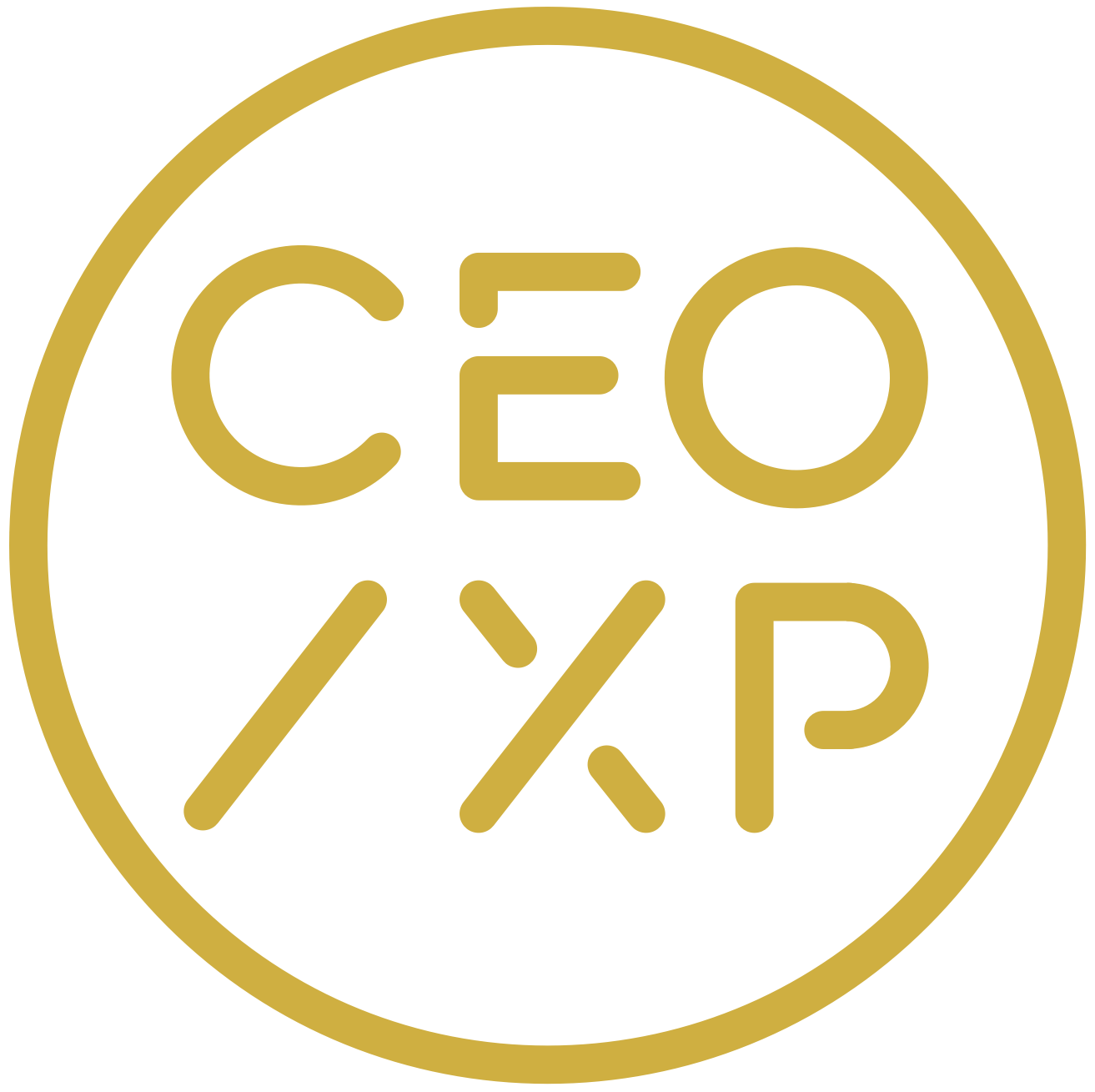 CEO XP