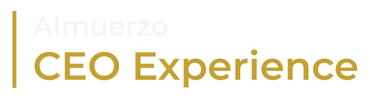 CEO Experience