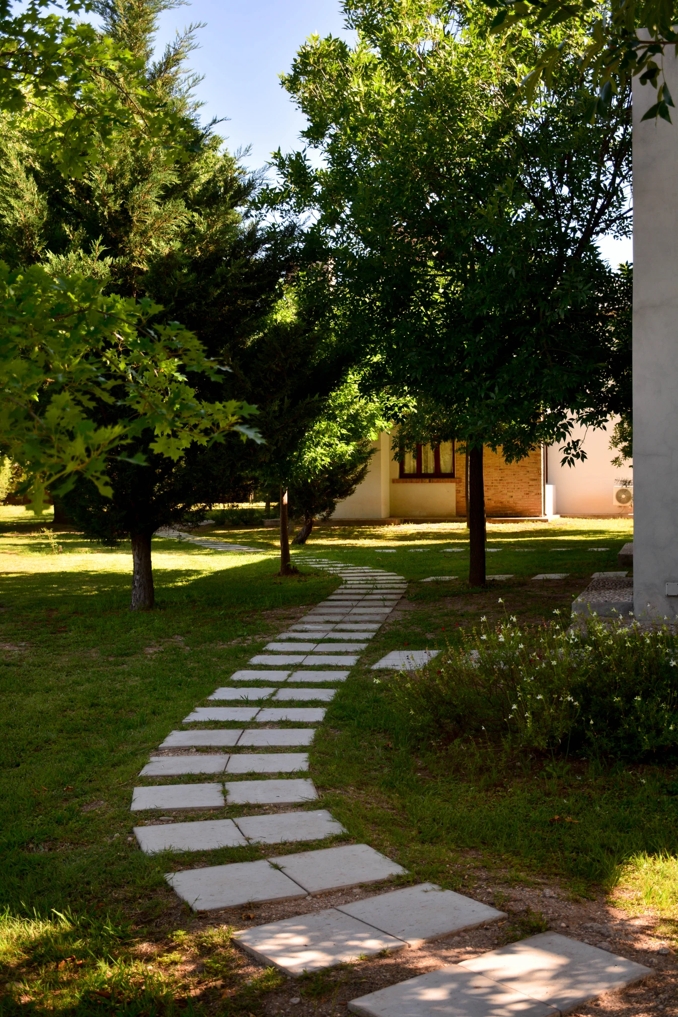 LAROSA-17.webp