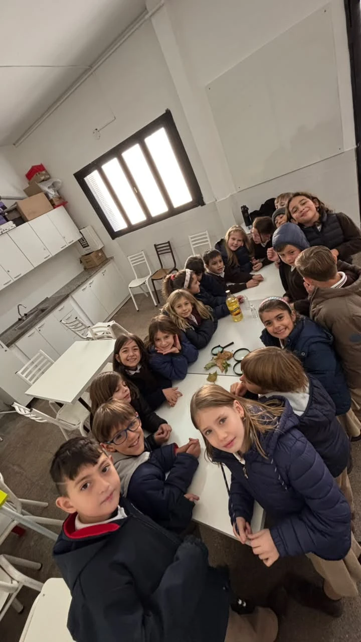 1-2DOENELLABORATORIOTT-2026.webp