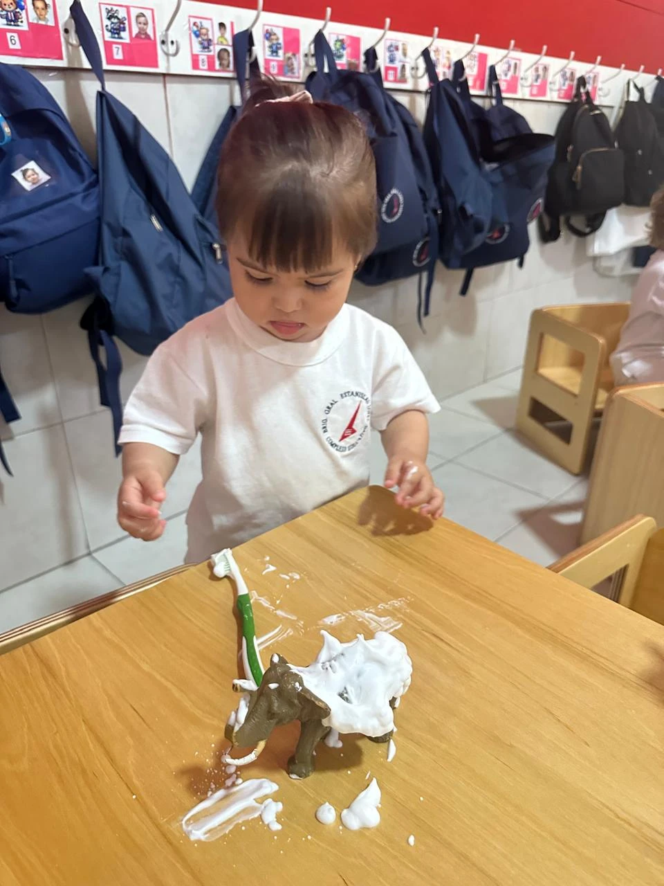 11-SALAROJA-BAO-2026.webp