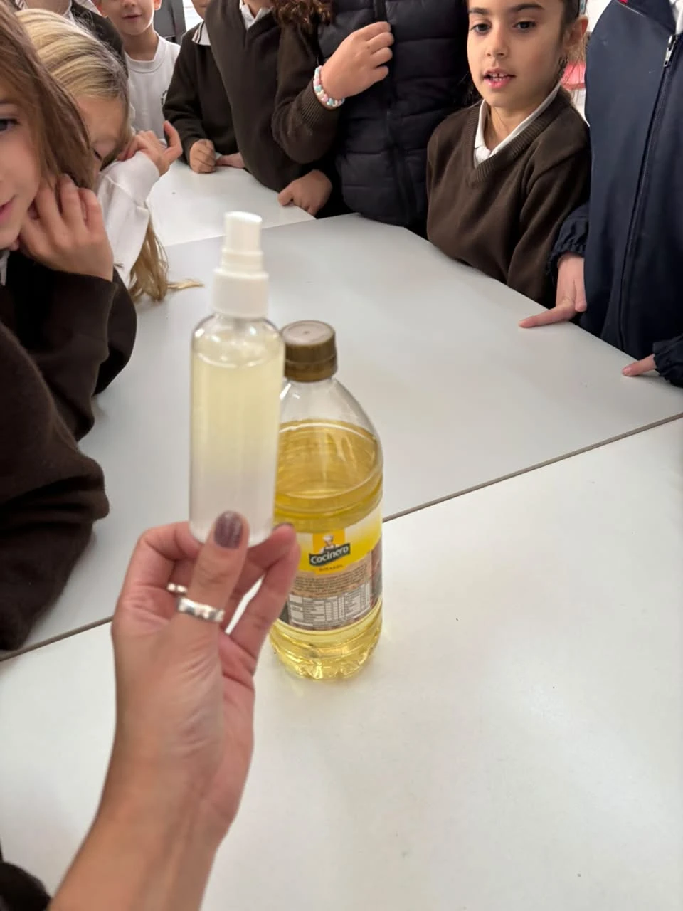 17-2DOENELLABORATORIOTT-2026.webp