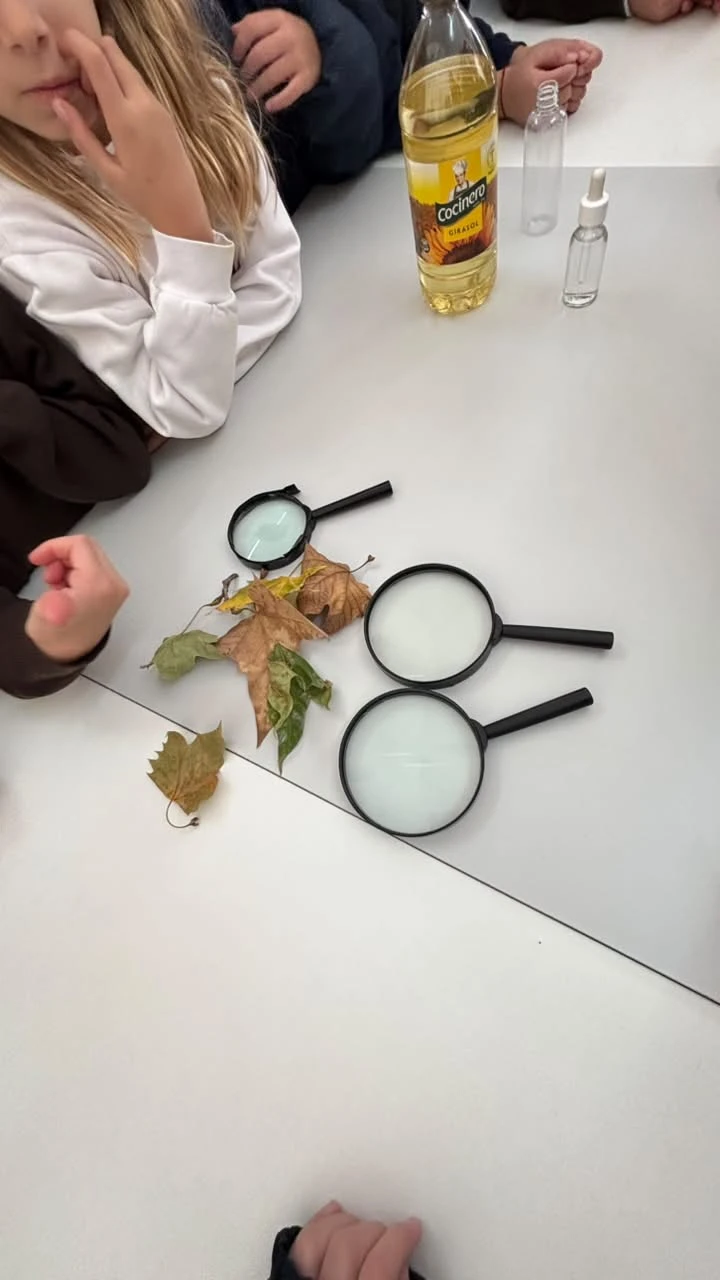 2-2DOENELLABORATORIOTT-2026.webp