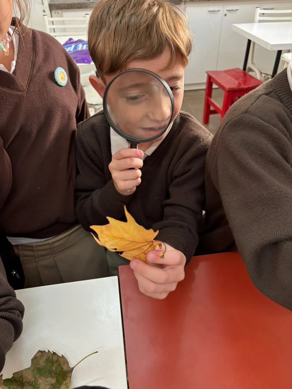 26-2DOENELLABORATORIOTM-2026.webp