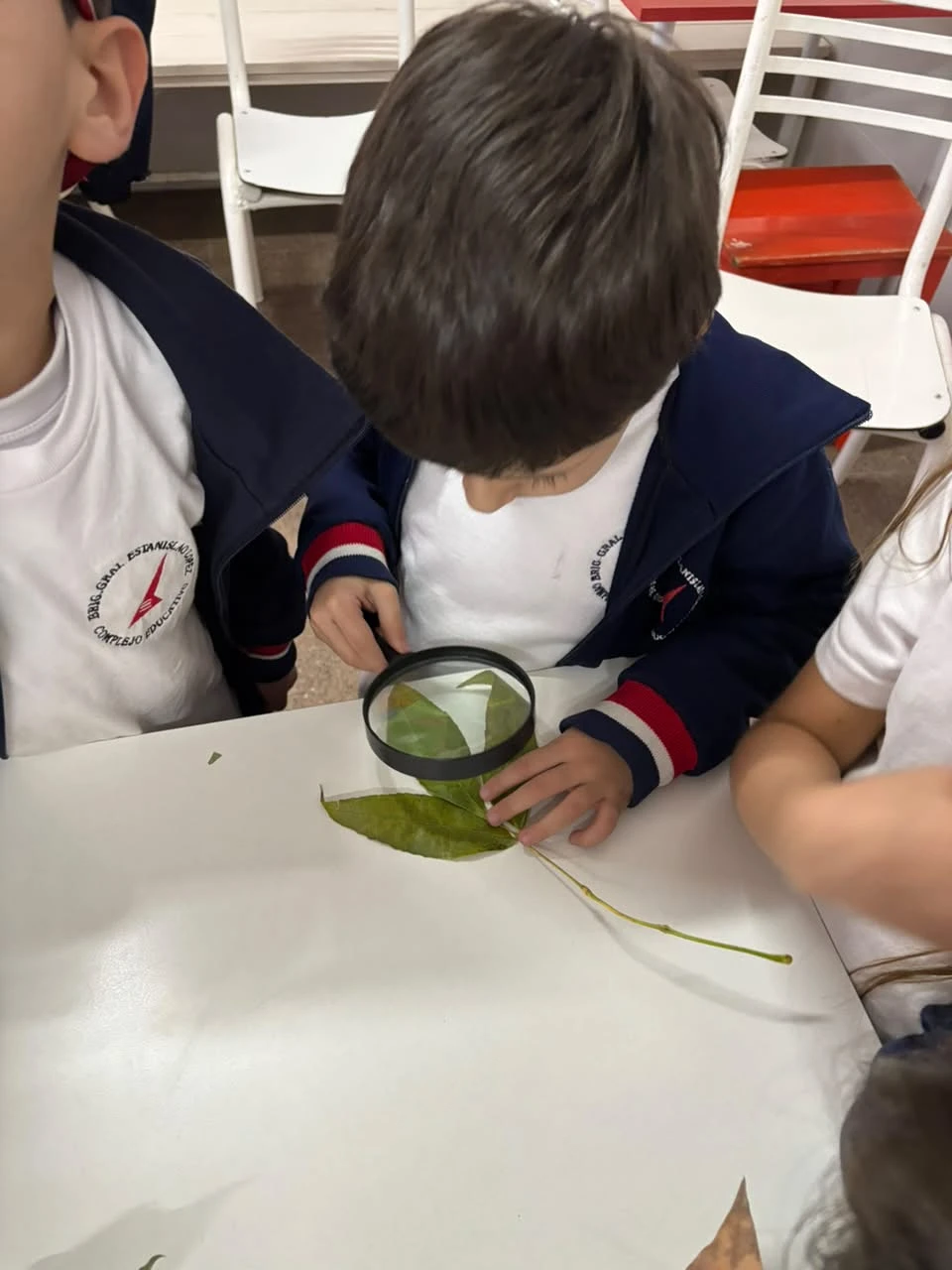 26-2DOENELLABORATORIOTT-2026.webp