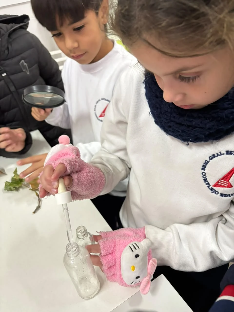 29-2DOENELLABORATORIOTT-2026.webp