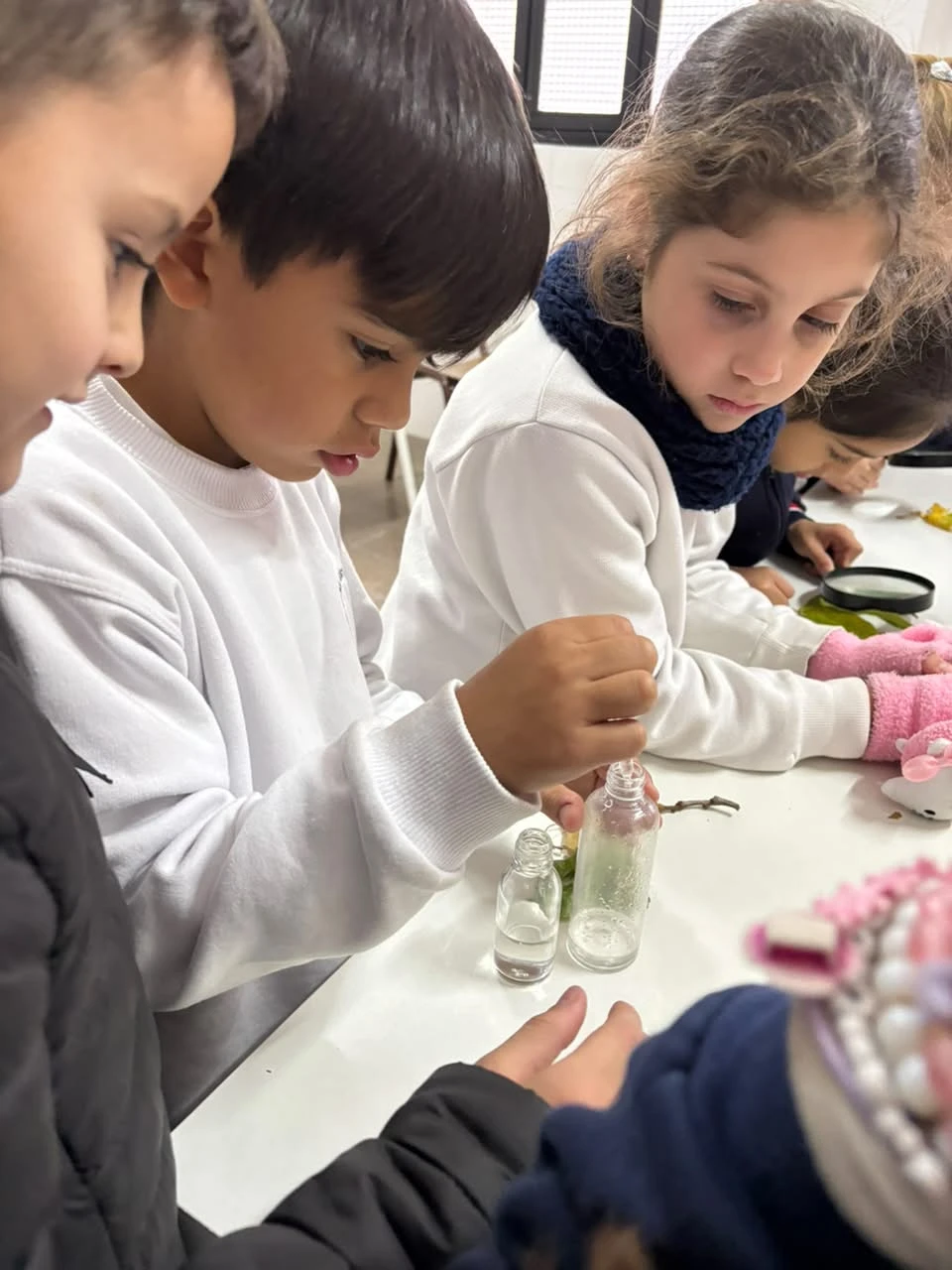 30-2DOENELLABORATORIOTT-2026.webp