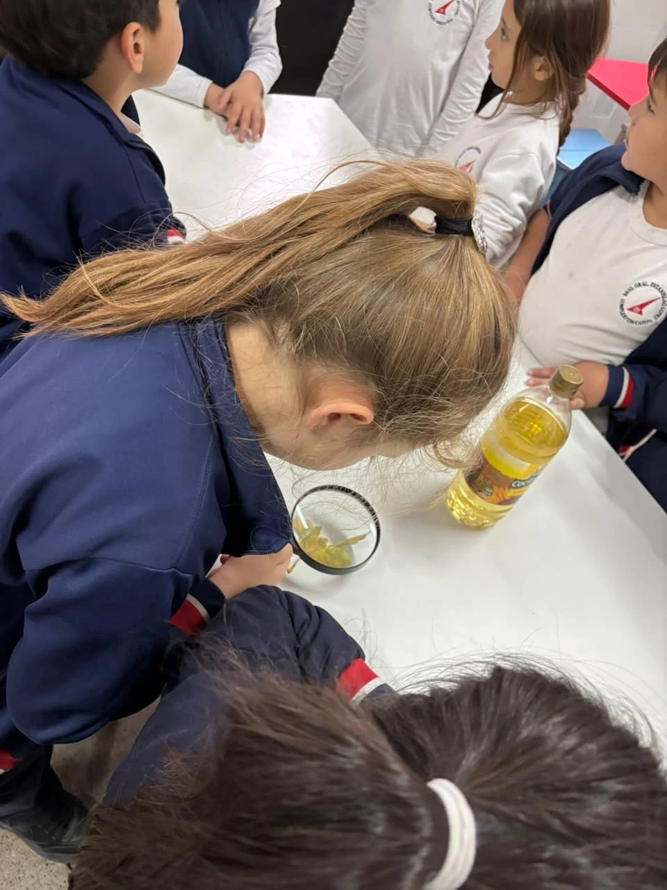 31-2DOENELLABORATORIOTT-2026.webp