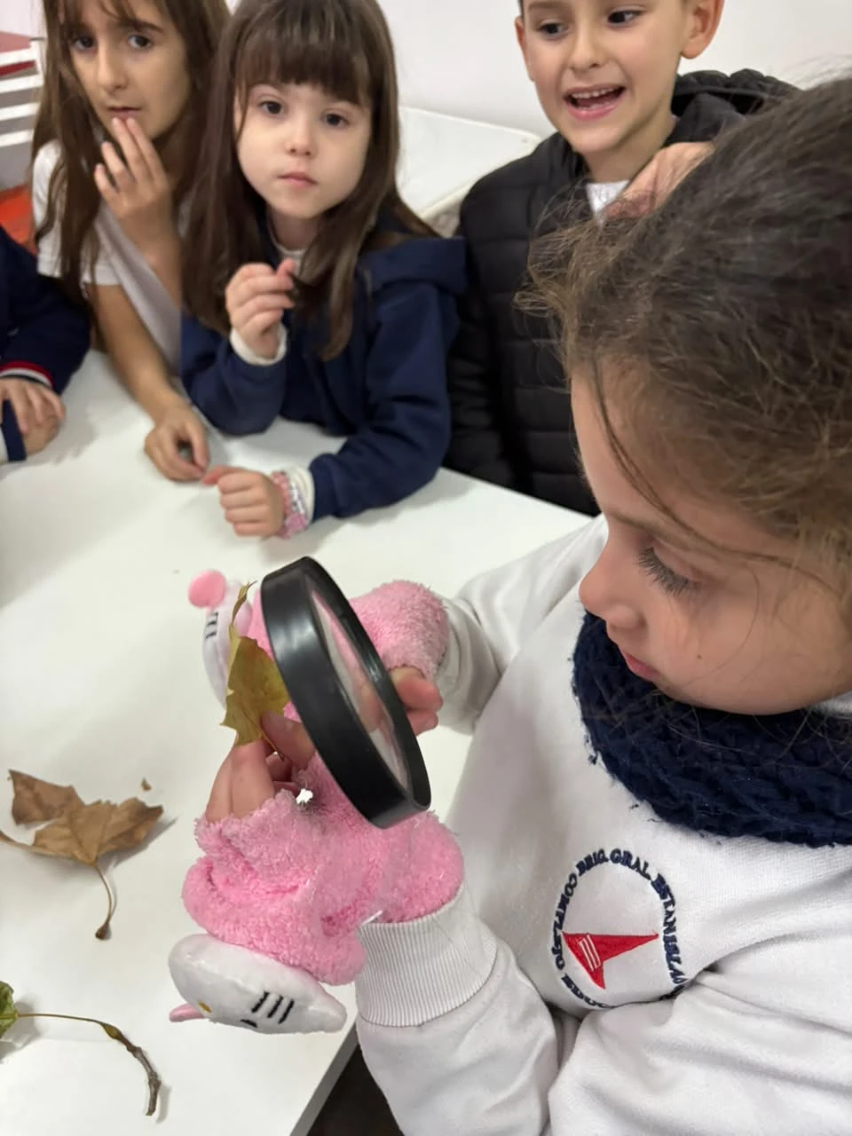 35-2DOENELLABORATORIOTT-2026.webp