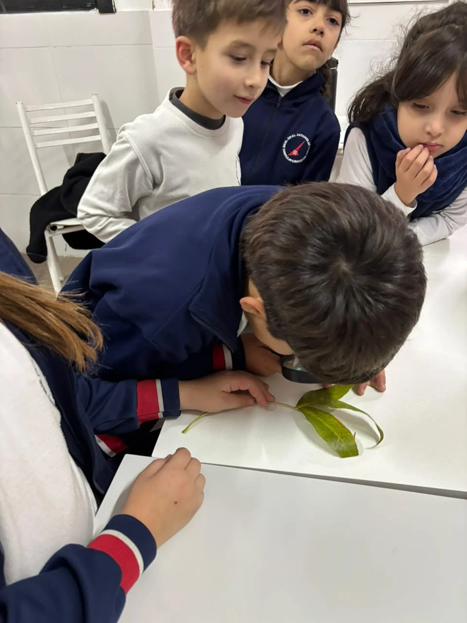36-2DOENELLABORATORIOTT-2026.webp