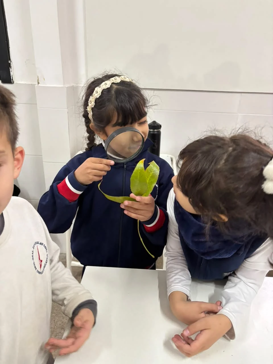 38-2DOENELLABORATORIOTT-2026.webp