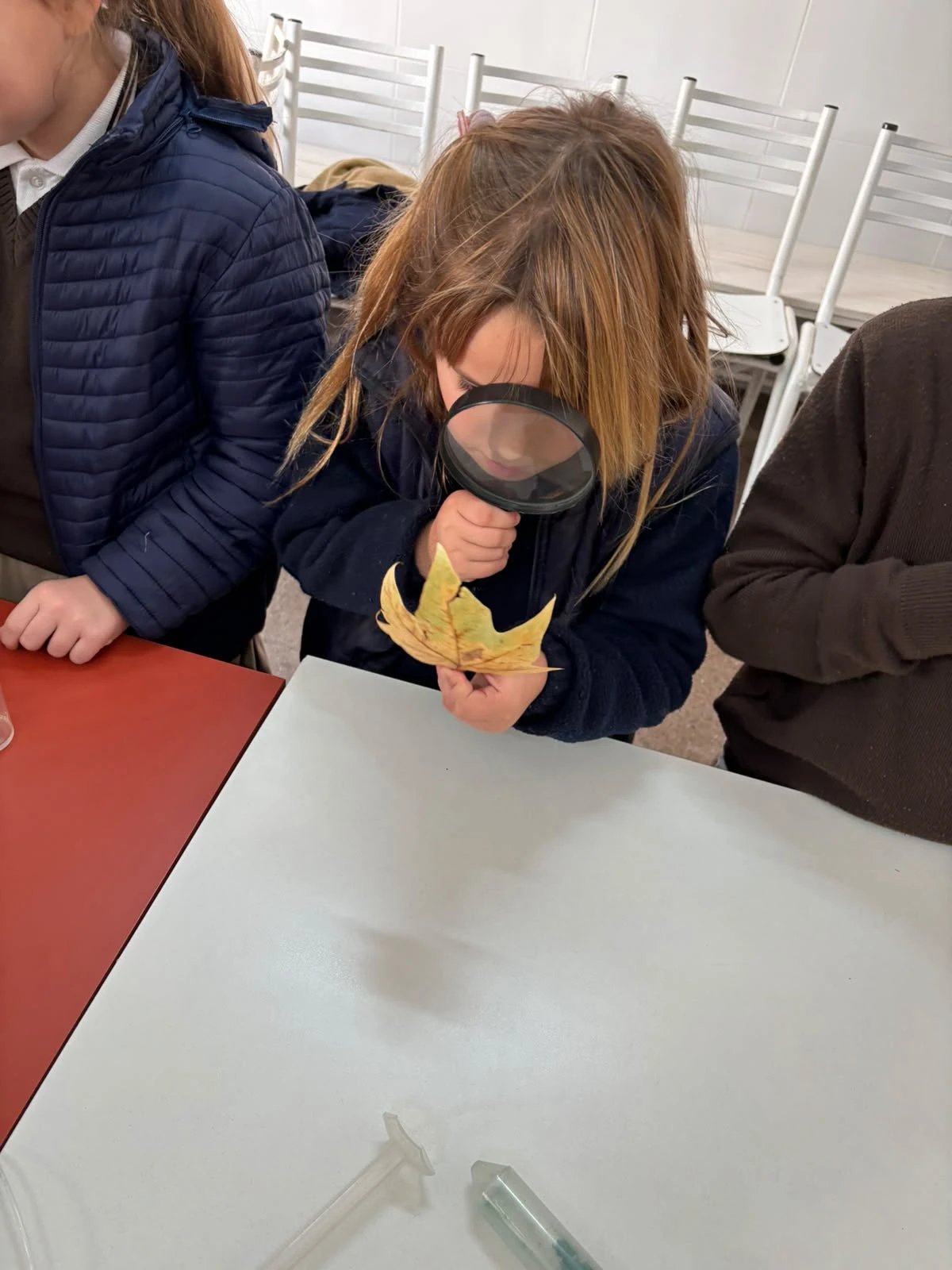 4-2DOENELLABORATORIOTM-2026.webp