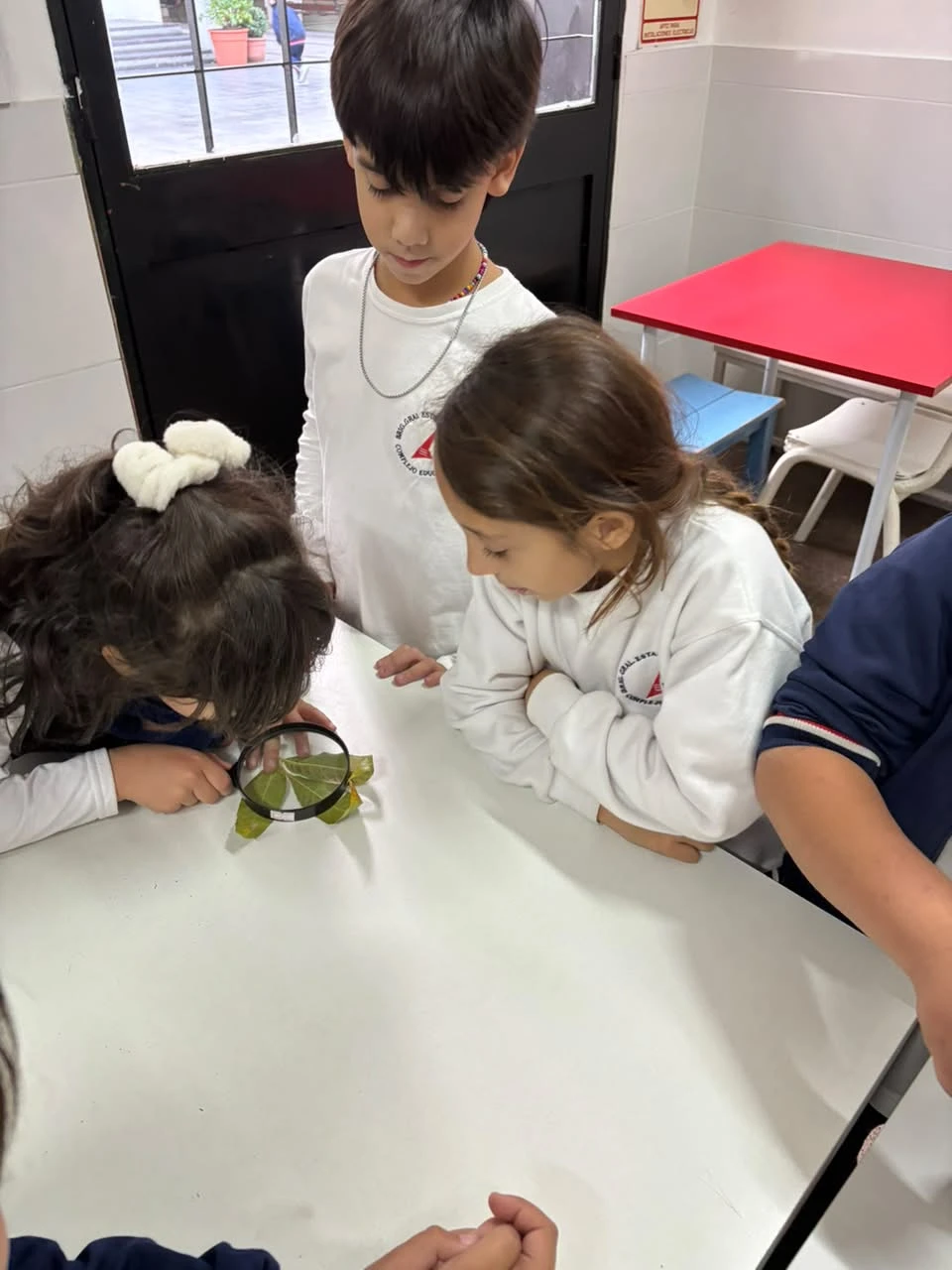 42-2DOENELLABORATORIOTT-2026.webp