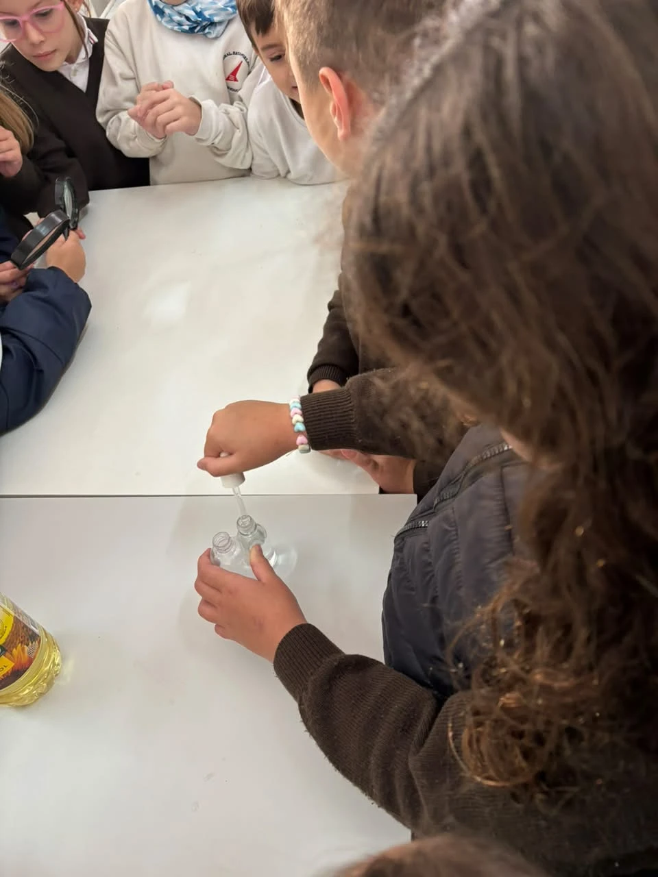 5-2DOENELLABORATORIOTT-2026.webp