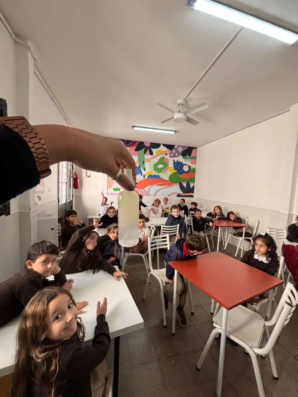 64-2DOENELLABORATORIOTM-2026.webp