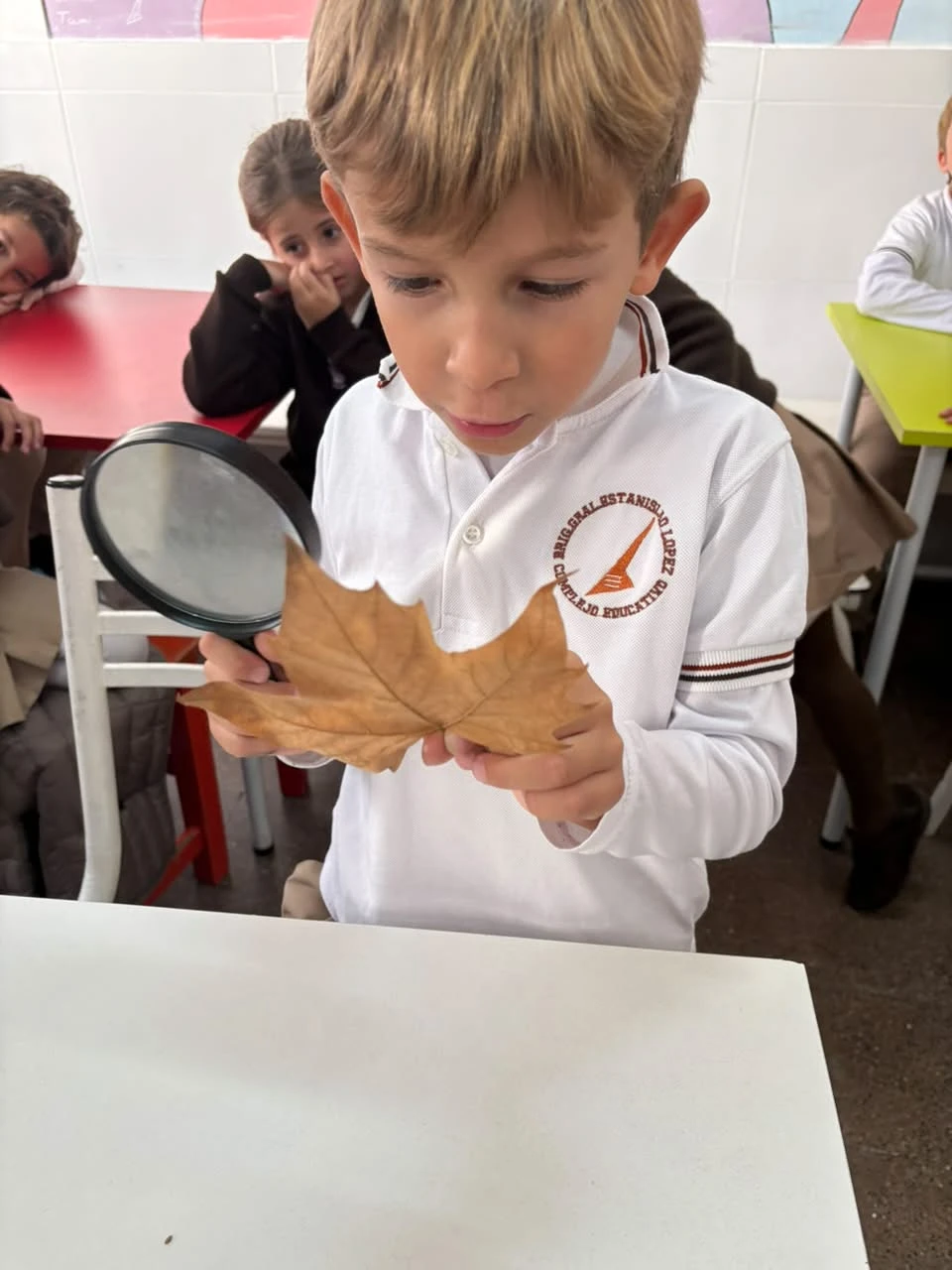 80-2DOENELLABORATORIOTM-2026.webp