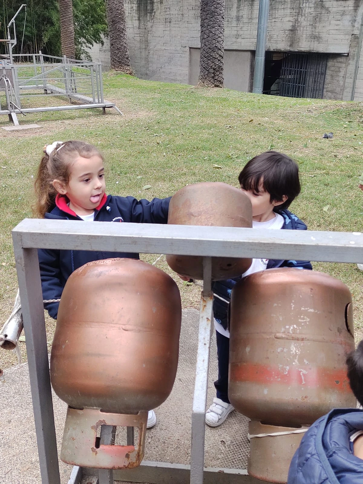 WhatsAppImage2026-05-27at11-(3950).webp