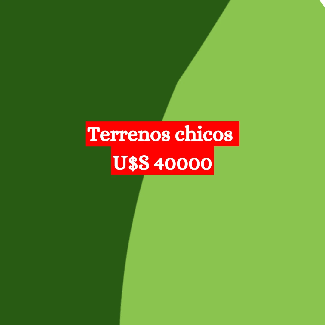 https://ss-cnt-001c.esmsv.com/r/content/host1/3d07036eb7a5bc883028726406b6d999/editor/2.webp