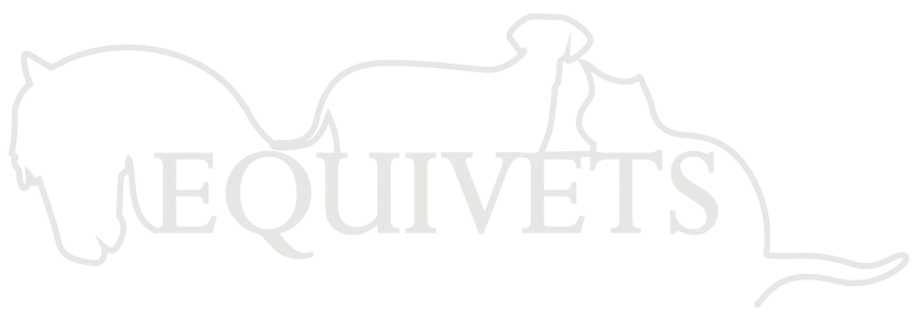 Equivets Fisioterapia