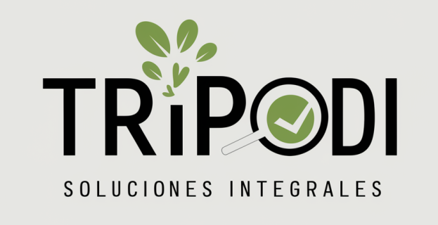 Consultora independiente