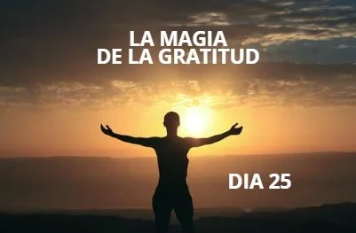 DIA 25 DIA 25