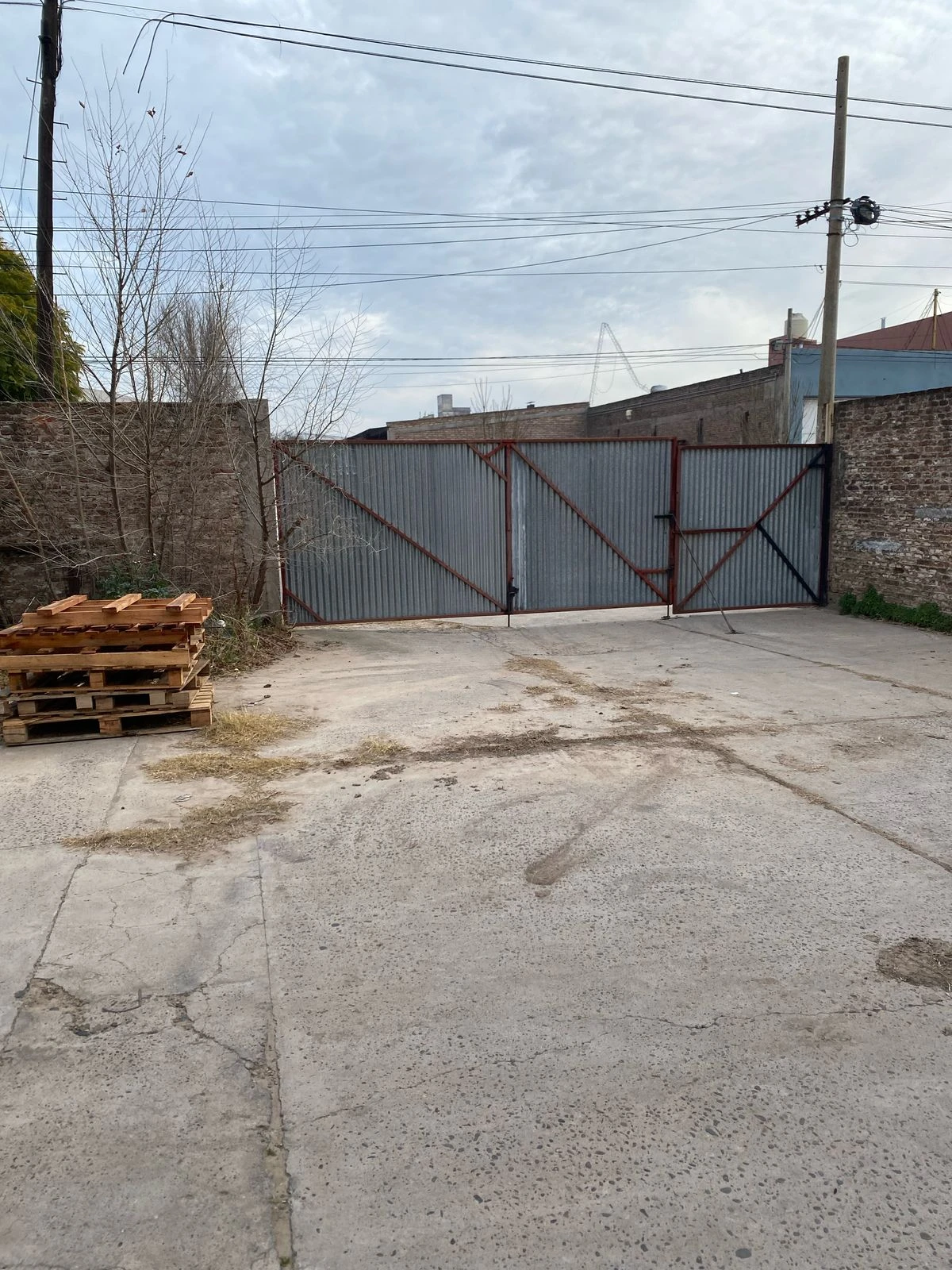 IMG-20250728-WA0004.webp