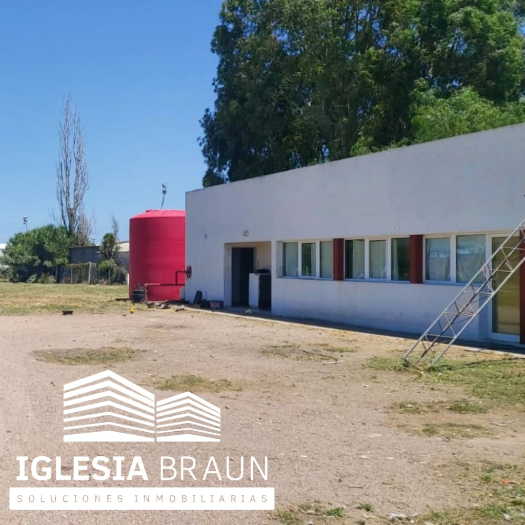 Loteindustrialtito-(9386).webp