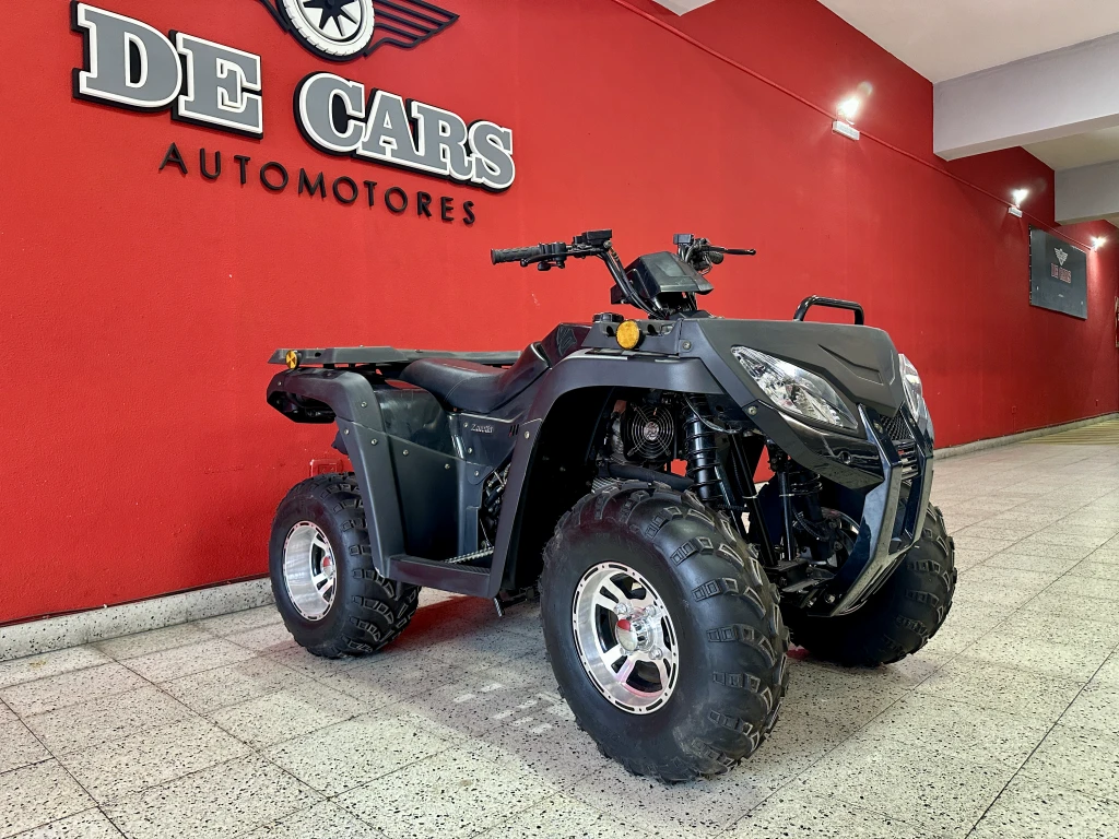 ZANELLA GFORCE 250 PARRILLERO 2017: Nuestra opinión
