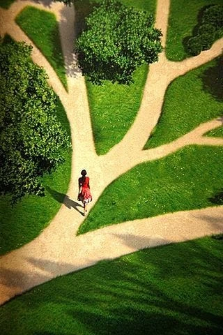 Muchos caminos, una misma búsqueda.