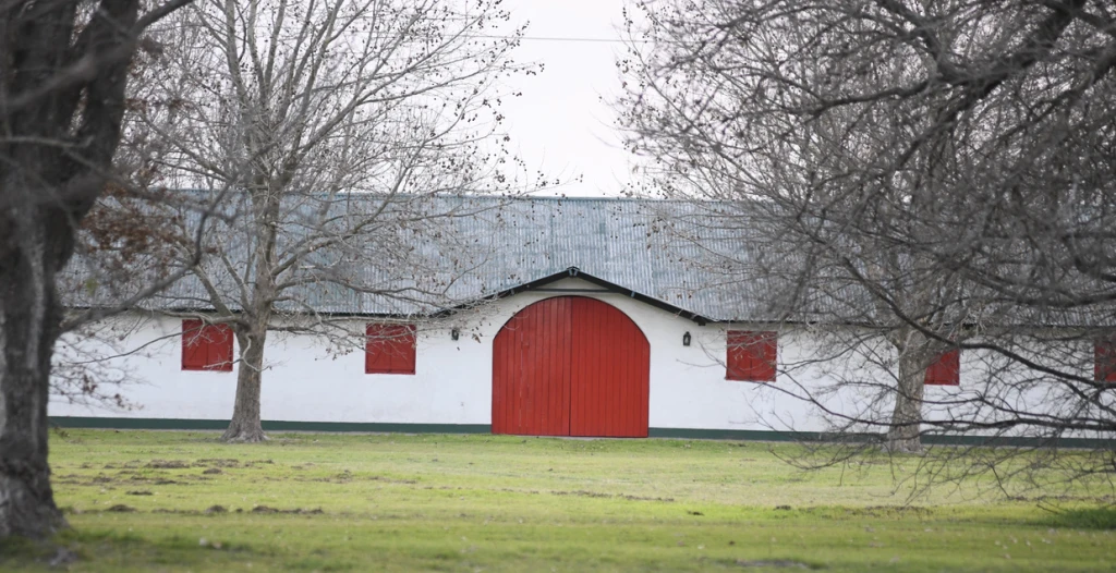 EL HARAS