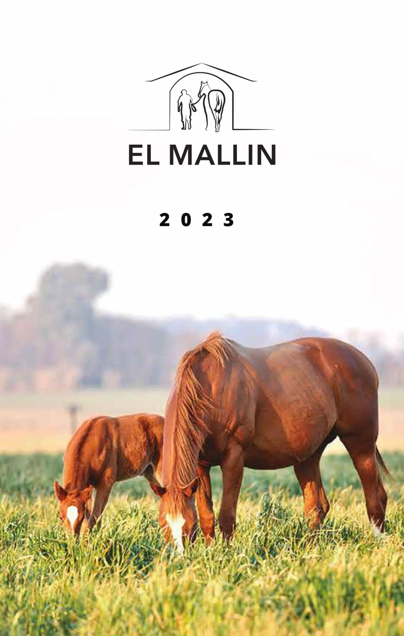 2023
