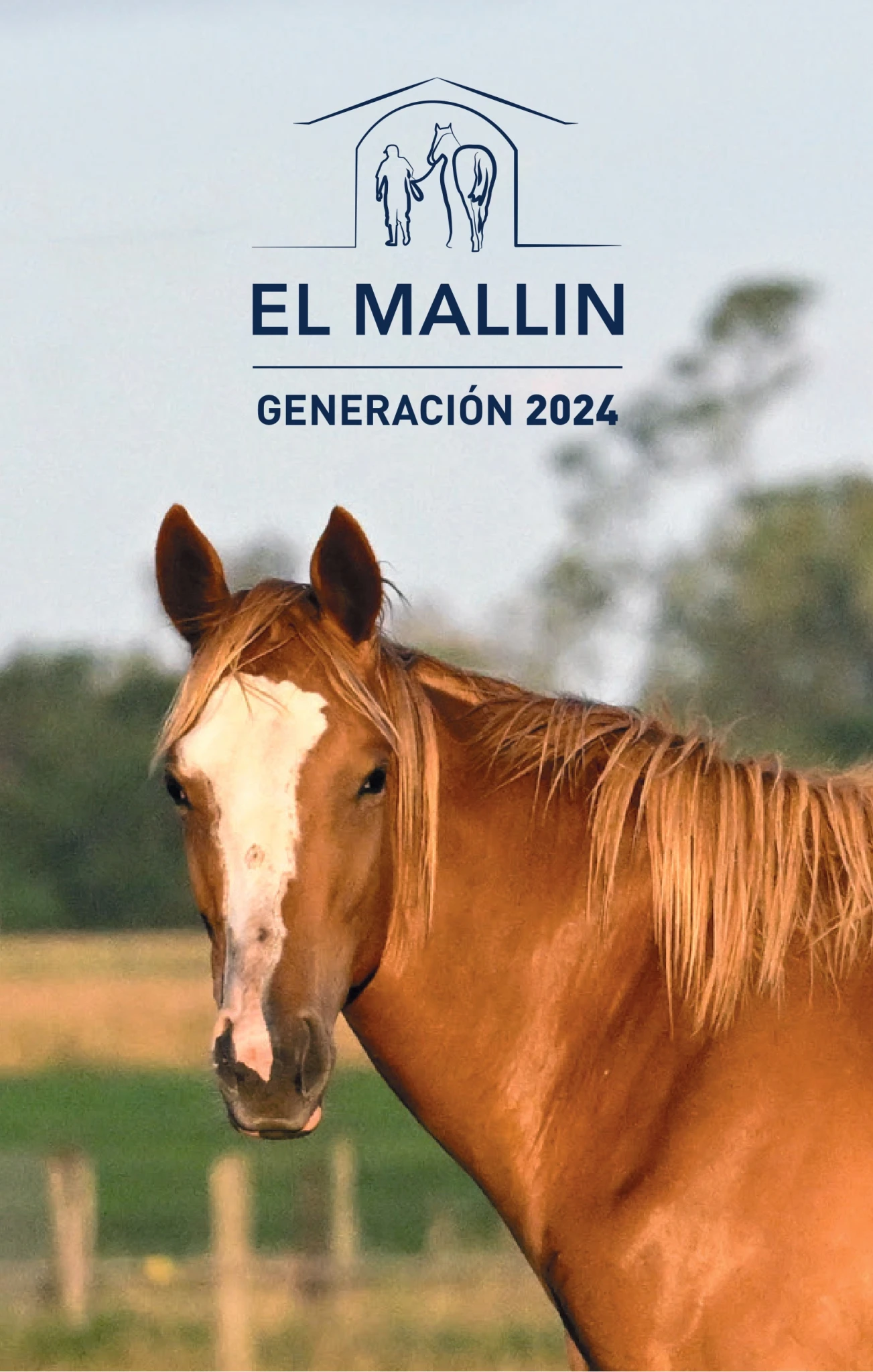 2026