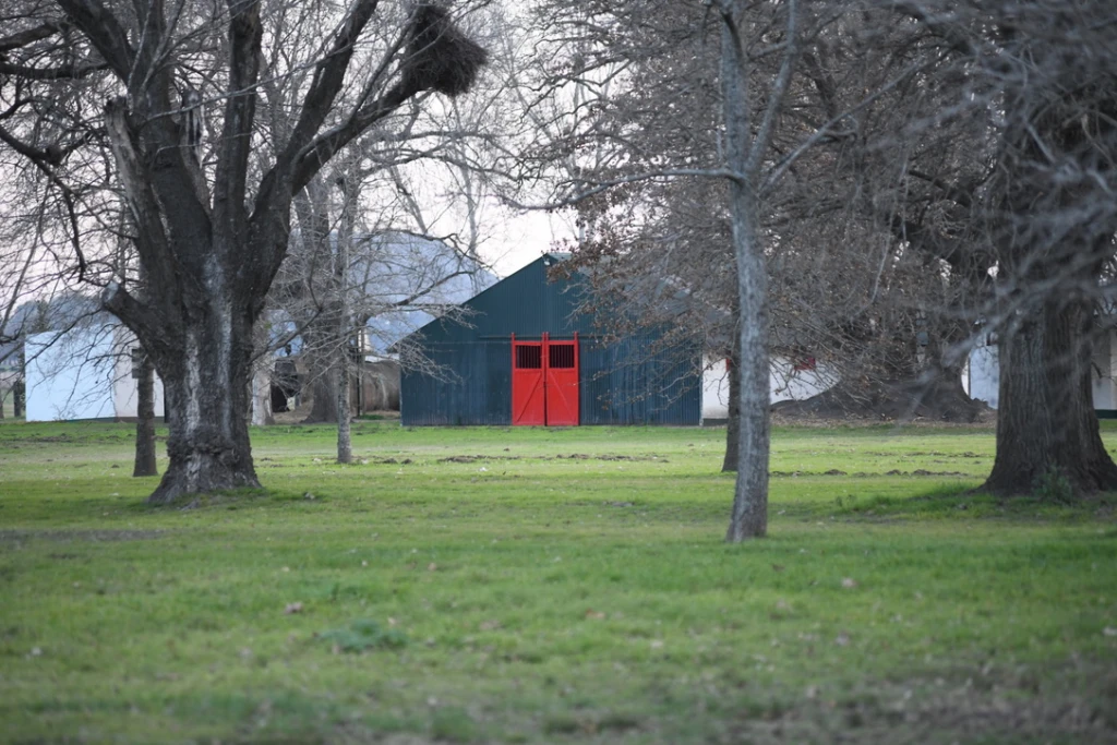 EL HARAS